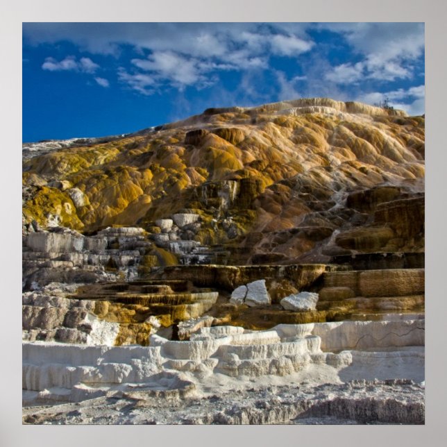 Poster Mammoth Hot Spring (Devant)