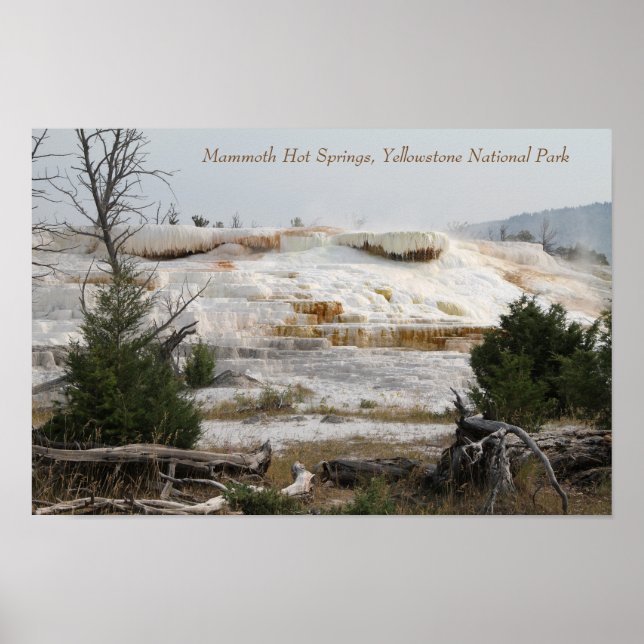 Poster Mammoth Hot Springs, parc national Yellowstone (Devant)