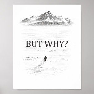 Poster Manchot Mais Pourquoi Montagnes