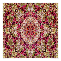 Mandala du bourgeon rouge...