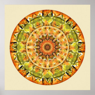 Poster Mandalas of Deep Trust, No 10