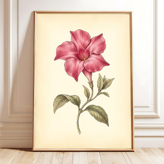 Poster Mandevilla Toile botanique sur toile