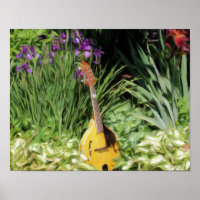 Mandolin Iris Fleur Jardin Photo Peinture