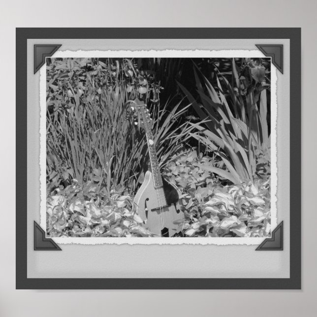 Poster Mandolin Iris Garden Photographie noir et blanc (Devant)