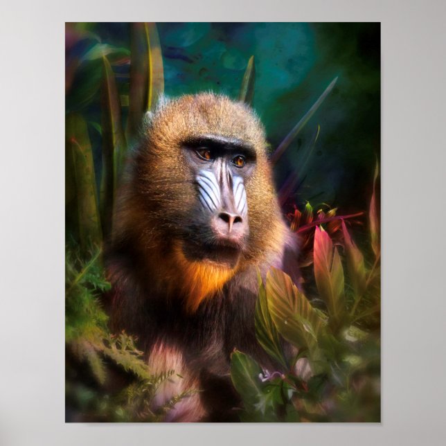 Poster Mandril Baboon MASK DANS LA JUNGLE (Devant)