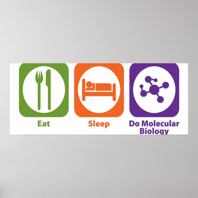 Poster Manger Le Sommeil Faire Biologie Moléculaire (Devant)