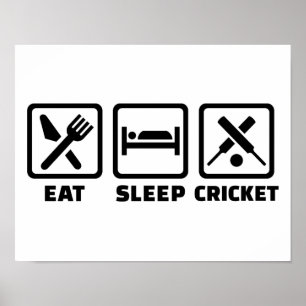 Poster Mangez le cricket du sommeil