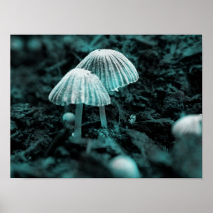 Poster Mangez-moi… Buvez-moi…