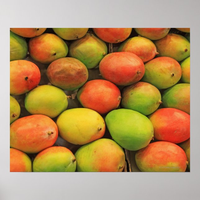 Poster Mangos, Espagne, Catalogne, Barcelone, La Boqueria (Devant)