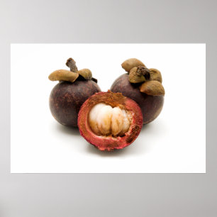 Poster Mangosteen violet