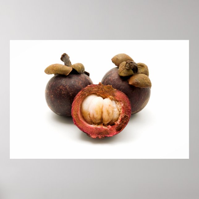 Poster Mangosteen violet (Devant)