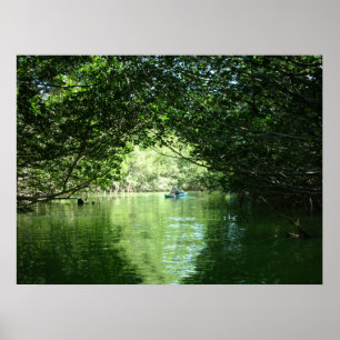 Poster Mangrove Kayaking