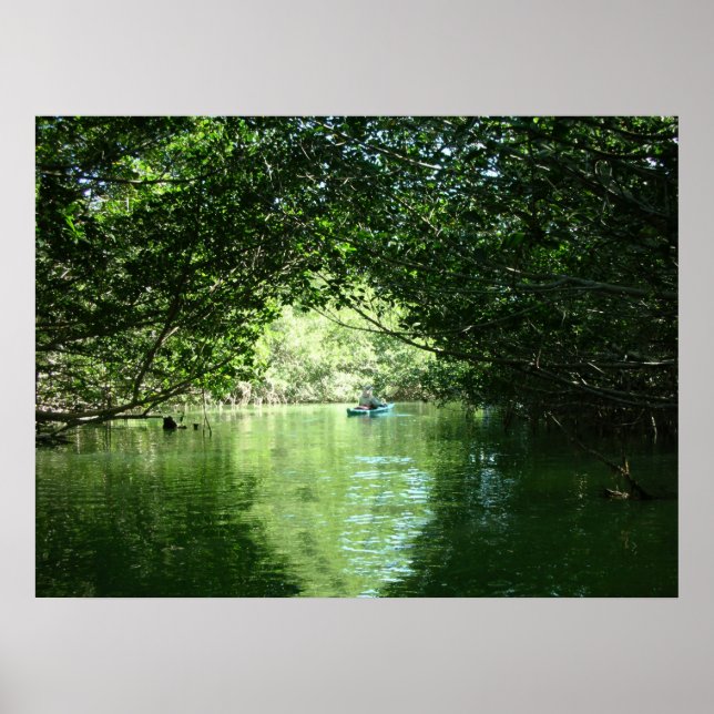Poster Mangrove Kayaking (Devant)