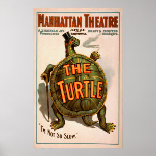 Poster Manhattan Theatre New York Broadway The Turtle