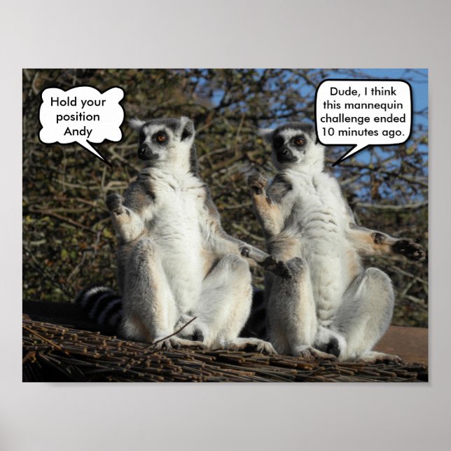 Poster Mannequin Challenged Lemurs (Devant)