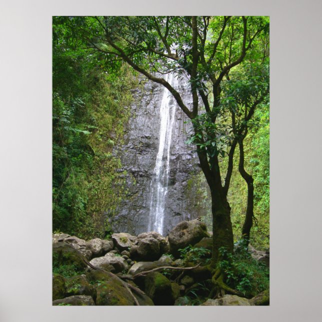 Poster Manoa Falls, O'ahu, Hawai'i (Devant)