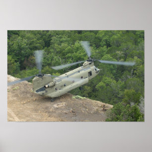 Poster Manoeuvre Pinnacle