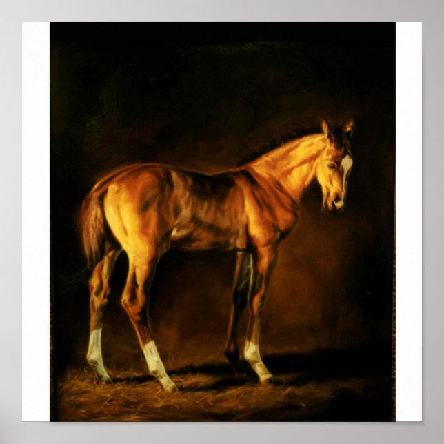 POSTER "MANQUE DE COULEURS" DE LONNI CLARKE (Devant)