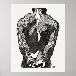 Poster Man's Anatomy 5