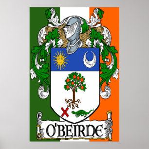 Poster Manteau d'O'Beirne de copie irlandaise de drapeau