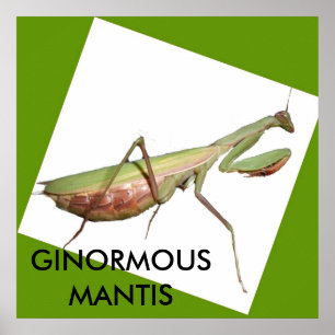 POSTER MANTIS GÉANT