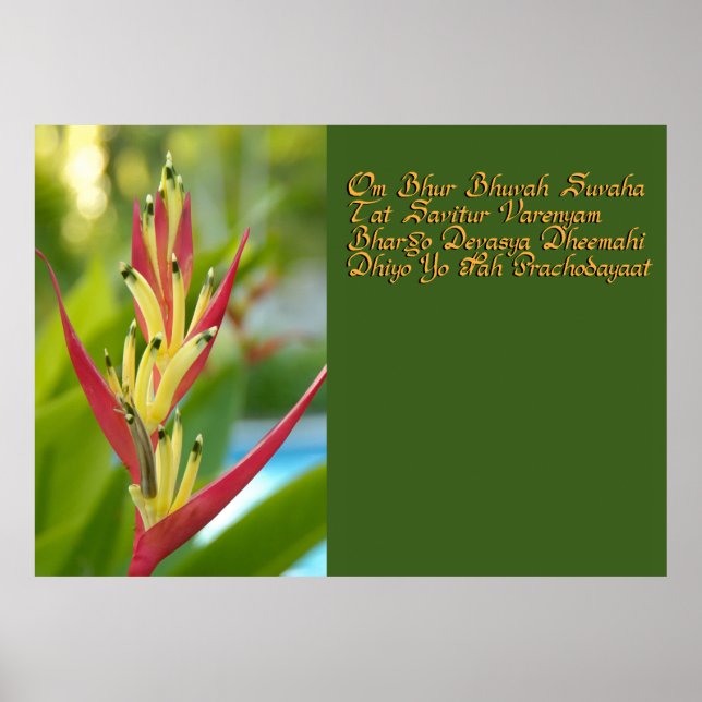 Poster Mantra de Gayatri (Devant)