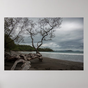 Poster Manzanillo