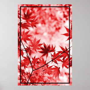 Poster Maple Trees Design Feuille