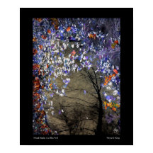 Maples mixtes dans une piscine d'automne