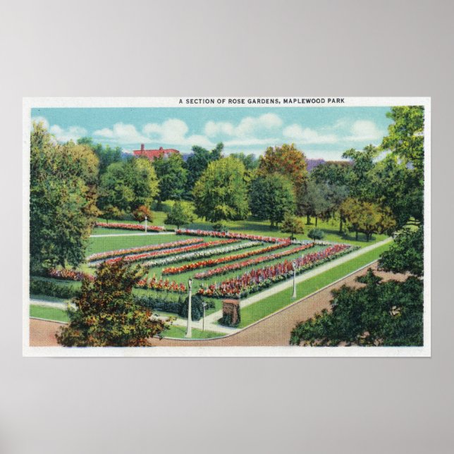 Poster Maplewood Park Rose Garden View (Devant)