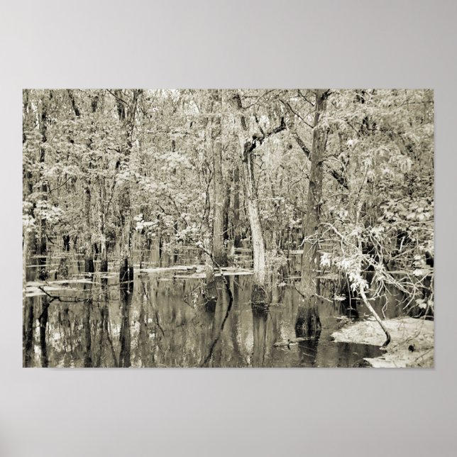 Poster Marais de la Nouvelle-Orléans (Devant)