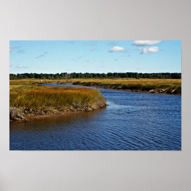Poster Marais de Scarborough (eau salée) Maine (Devant)