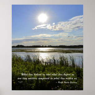 Poster Marais de verger de chêne