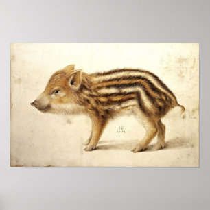 Poster MARCASSIN / Dessins d'animaux