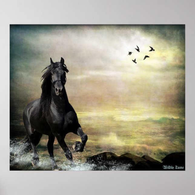 Poster Marche à suivre (Devant)