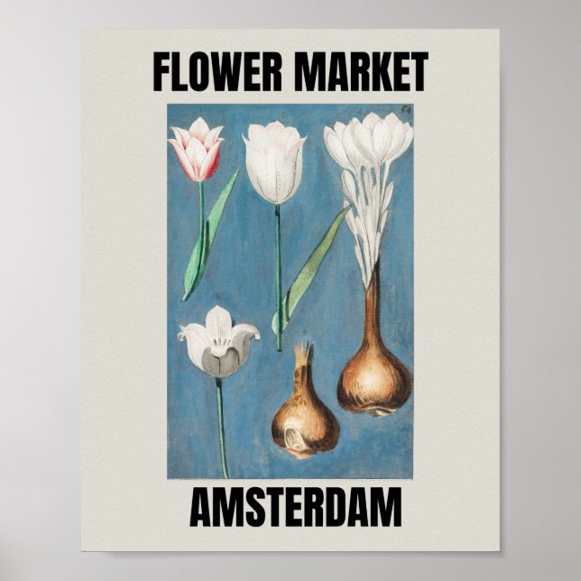 Poster Marché aux fleurs Amsterdam Vintage Tulip (Devant)