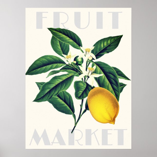 Poster Marché aux fruits rétro moderne Fleur de citron (Devant)