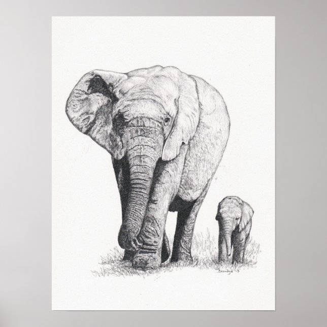 Poster Marche des éléphants (Devant)