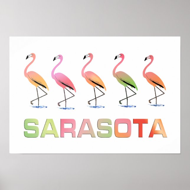 Poster Marche Flamants roses Sarasota (Devant)