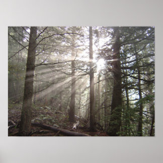 Poster Marcher à travers les nuages