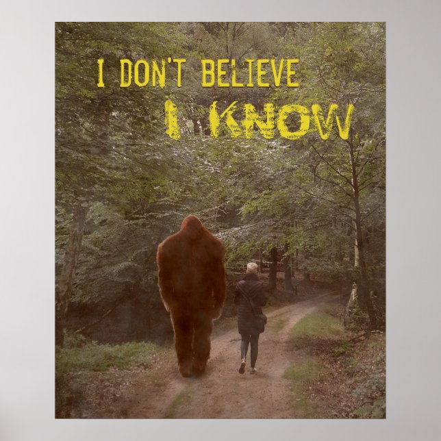 POSTER MARCHER AVEC LE SASQUATCH BIGFOOT - JE CONNAIS 2 (Devant)