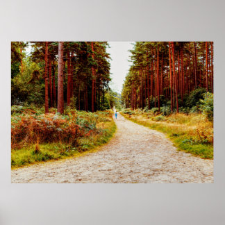 Poster Marcher dans la forêt dans la nature