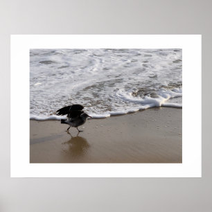 Poster Marcher près des Waves California Color Photograph