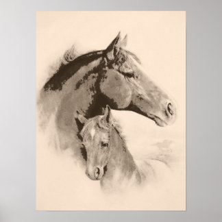 Poster Mare-n-Foal avec coloration à effet de charbon