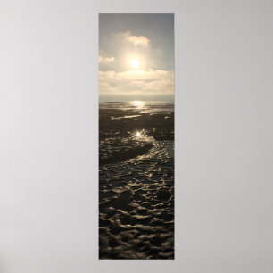 Poster Marée basse à La Jolla