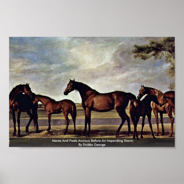 Poster Mares Et Foals Anxieux Avant Une Tempête Imminente (Devant)