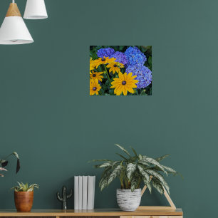 Poster Marguerite à œil noir et Hydrangea Bleu Floral