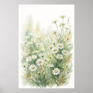 Poster Marguerite blanche aquarelle de fleur sauvage