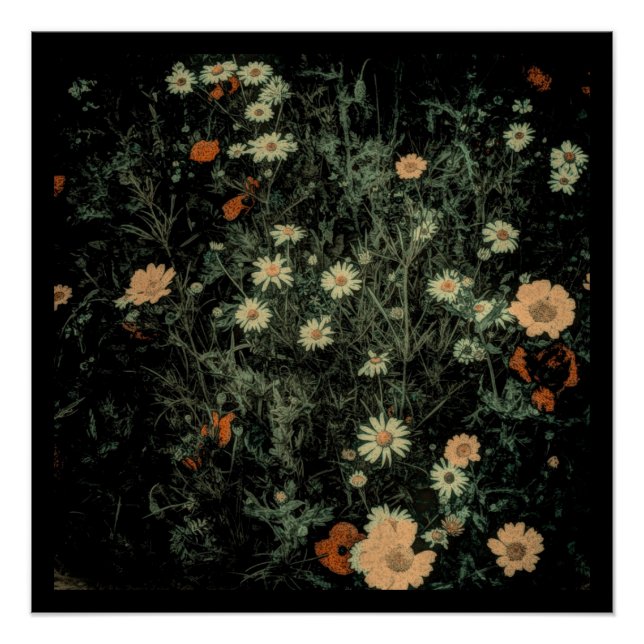Poster marguerite blanche bohème fleur sauvage noir flora (Devant)