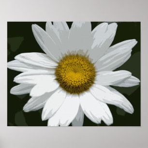 Poster Marguerite blanche simple